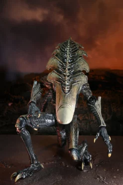 NECA Alien Vs. Predator Chrysalis (Movie Deco) -NERDZOIC Sales crystalis07
